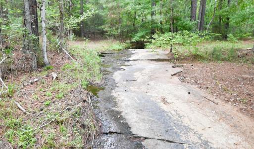 Photo #20 of 101 +/- AC Woods Ferry, Carlisle, SC
