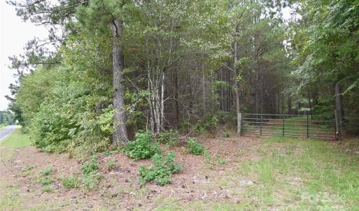 Photo #28 of 101 +/- AC Woods Ferry, Carlisle, SC