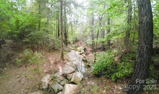 Photo #16 of 101 +/- AC Woods Ferry, Carlisle, SC