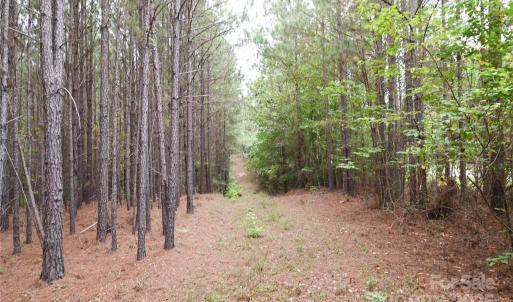 Photo #24 of 101 +/- AC Woods Ferry, Carlisle, SC