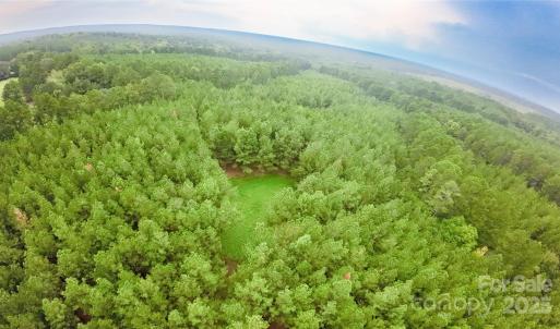 Photo #11 of 101 +/- AC Woods Ferry, Carlisle, SC