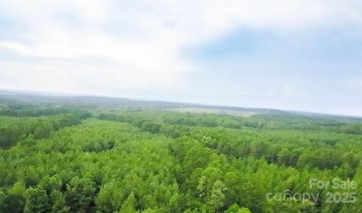 Photo #10 of 101 +/- AC Woods Ferry, Carlisle, SC