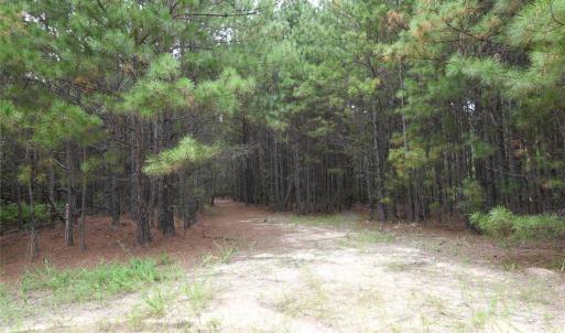 Photo #17 of 101 +/- AC Woods Ferry, Carlisle, SC