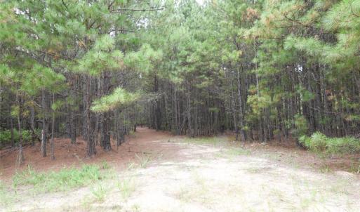 Photo #18 of 101 +/- AC Woods Ferry, Carlisle, SC