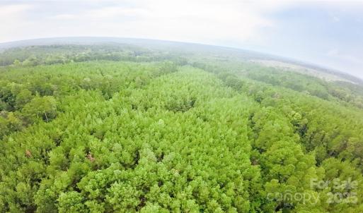 Photo #3 of 101 +/- AC Woods Ferry, Carlisle, SC