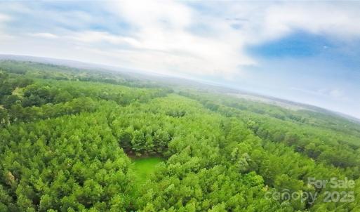 Photo #6 of 101 +/- AC Woods Ferry, Carlisle, SC