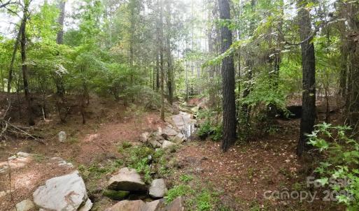 Photo #15 of 101 +/- AC Woods Ferry, Carlisle, SC