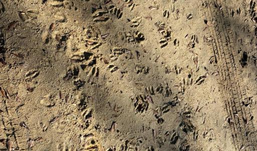 Photo #7 of 5482 Old Winnsboro, Great Falls, SC