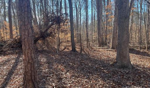 Photo #12 of 15.009 Acres Archer, Davidson, NC