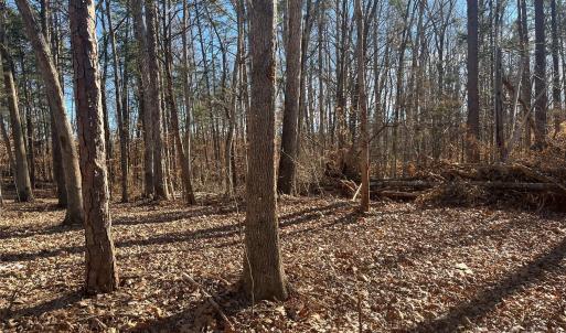 Photo #13 of 15.009 Acres Archer, Davidson, NC