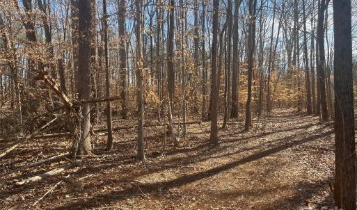 Photo #7 of 15.009 Acres Archer, Davidson, NC