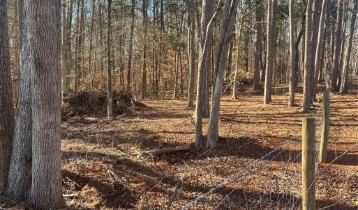 Photo #10 of 15.009 Acres Archer, Davidson, NC