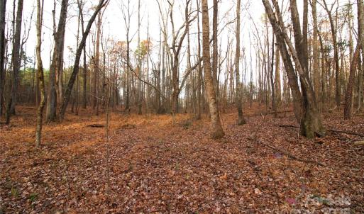 Photo #4 of 3+/-AC Pioneer, York, SC
