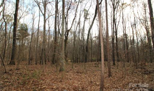 Photo #5 of 3+/-AC Pioneer, York, SC