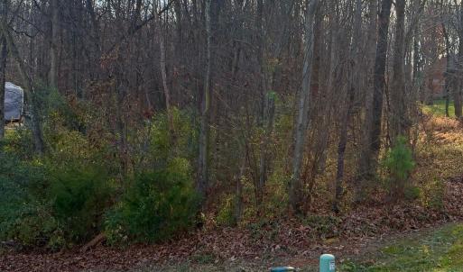 Photo #1 of 2010 Parrothead, Monroe, NC