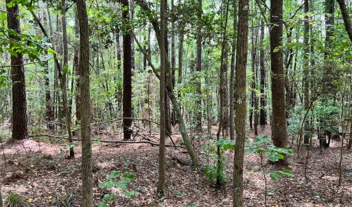 Photo #14 of Lot 7 & 8 SC Hwy 215, Fairfield, SC