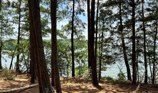 Photo #21 of Lot 7 & 8 SC Hwy 215, Fairfield, SC