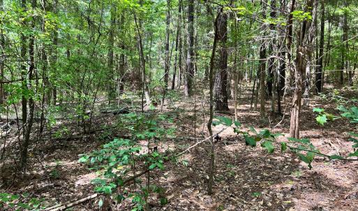 Photo #17 of Lot 7 & 8 SC Hwy 215, Fairfield, SC