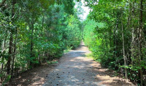 Photo #10 of Lot 7 & 8 SC Hwy 215, Fairfield, SC