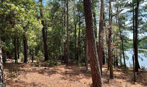 Photo #22 of Lot 7 & 8 SC Hwy 215, Fairfield, SC