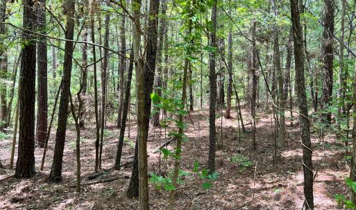 Photo #11 of Lot 7 & 8 SC Hwy 215, Fairfield, SC