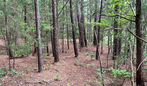 Photo #15 of Lot 7 & 8 SC Hwy 215, Fairfield, SC