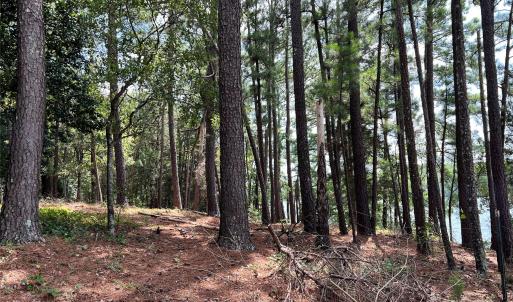 Photo #20 of Lot 7 & 8 SC Hwy 215, Fairfield, SC