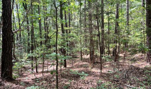 Photo #13 of Lot 7 & 8 SC Hwy 215, Fairfield, SC