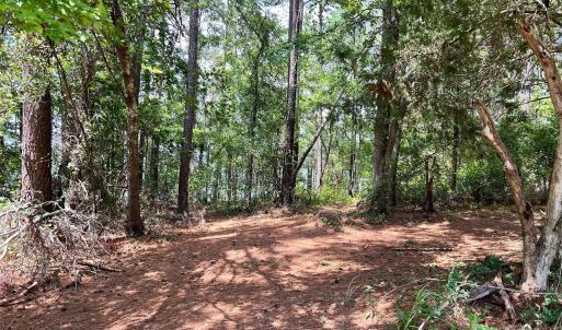 Photo #18 of Lot 7 & 8 SC Hwy 215, Fairfield, SC