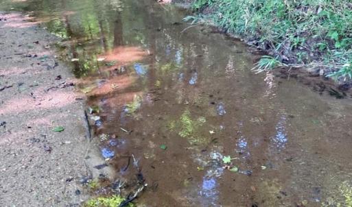 Photo #4 of Lot #7 Winnie Hole, Richburg, SC