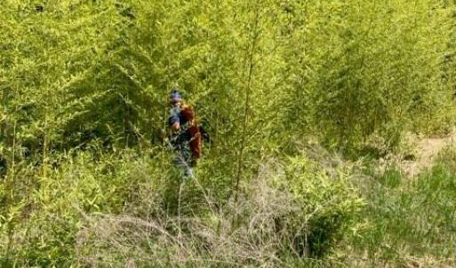 Photo #15 of Lot #7 Winnie Hole, Richburg, SC