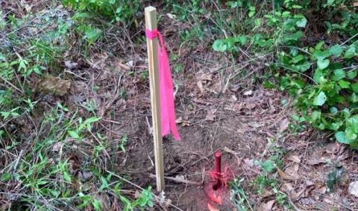 Photo #16 of Lot #7 Winnie Hole, Richburg, SC