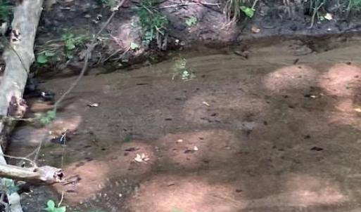 Photo #6 of Lot #7 Winnie Hole, Richburg, SC