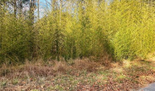 Photo #1 of Lot #7 Winnie Hole, Richburg, SC