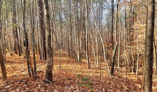 Photo #2 of Lot #7 Winnie Hole, Richburg, SC