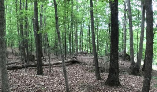 Photo #10 of 3111 Catawba, Great Falls, SC