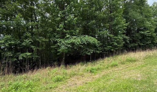 Photo #9 of 3111 Catawba, Great Falls, SC