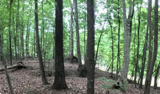 Photo #16 of 3111 Catawba, Great Falls, SC