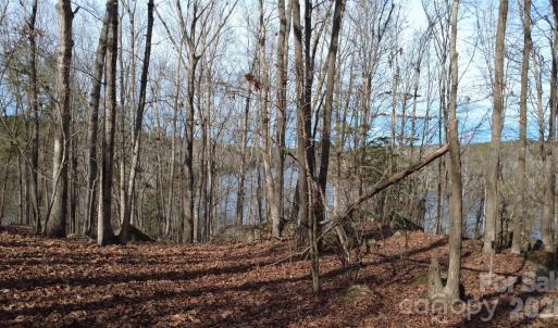 Photo #12 of 3111 Catawba, Great Falls, SC