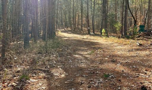 Photo #6 of Nimitz, Smyrna, SC