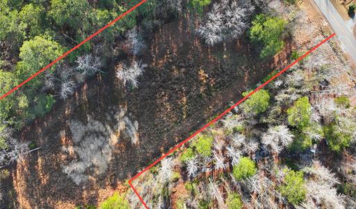 Photo #20 of Mattocks, Maysville, NC