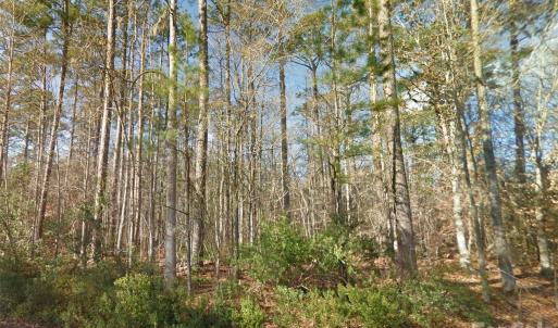 Photo #5 of Mattocks, Maysville, NC