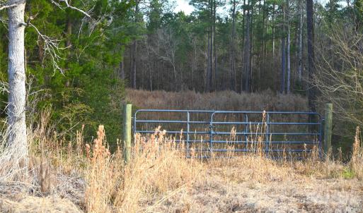 Photo #9 of Mattocks, Maysville, NC