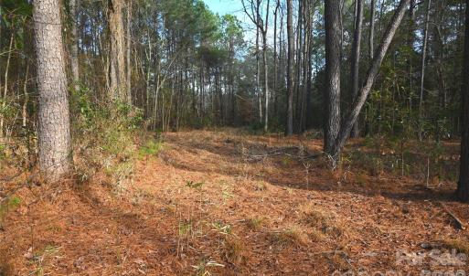 Photo #11 of Mattocks, Maysville, NC