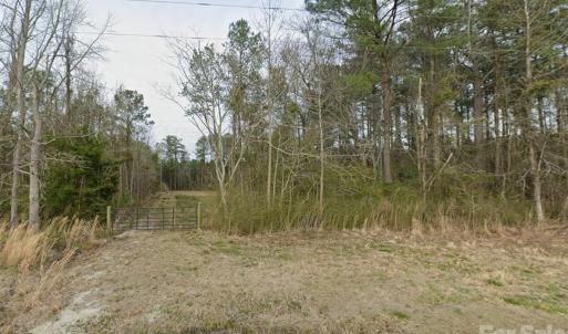 Photo #1 of Mattocks, Maysville, NC