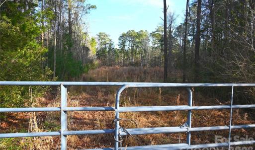 Photo #10 of Mattocks, Maysville, NC