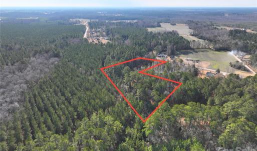 Photo #19 of Mattocks, Maysville, NC