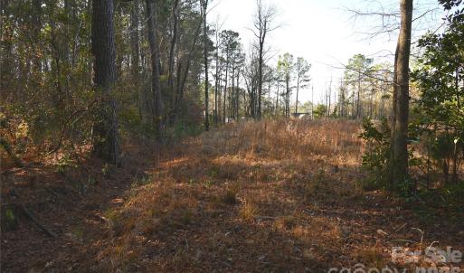 Photo #13 of Mattocks, Maysville, NC