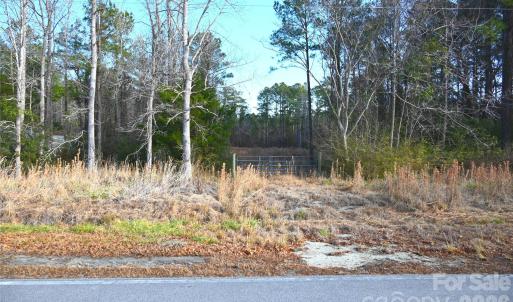 Photo #8 of Mattocks, Maysville, NC