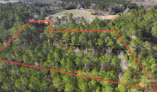 Photo #17 of Mattocks, Maysville, NC